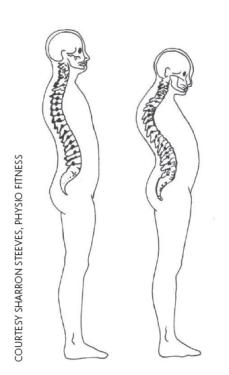 Rounded spine