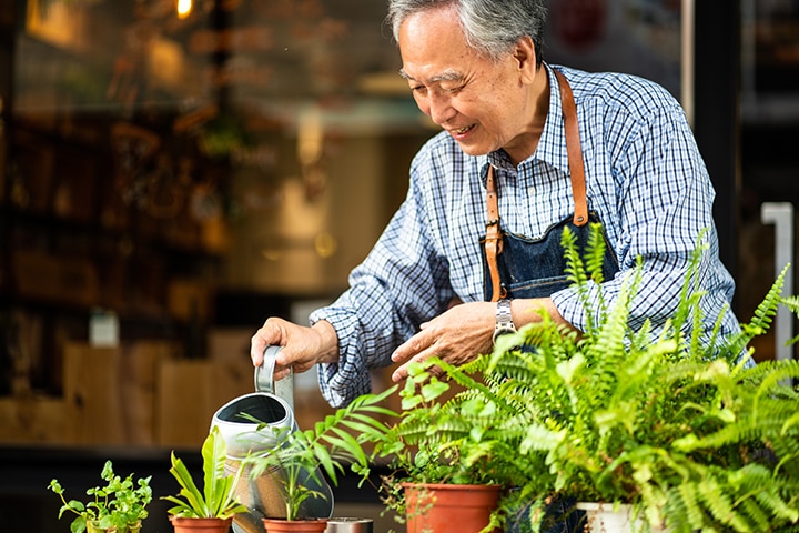 Older asian man watering plants