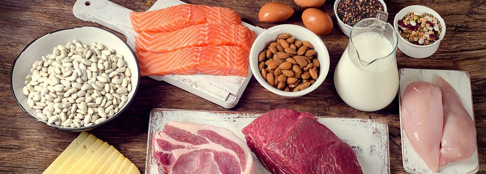 Food rich in protein