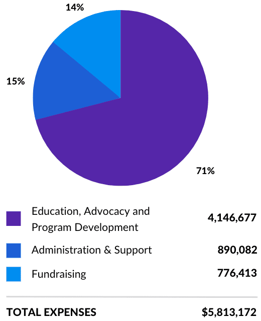 Program Fund Revenue Expenses Pie Chart