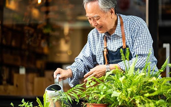 Older man watering plants